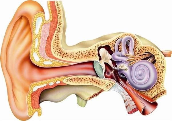 headphone and ear damage